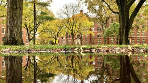 Harvard Yard